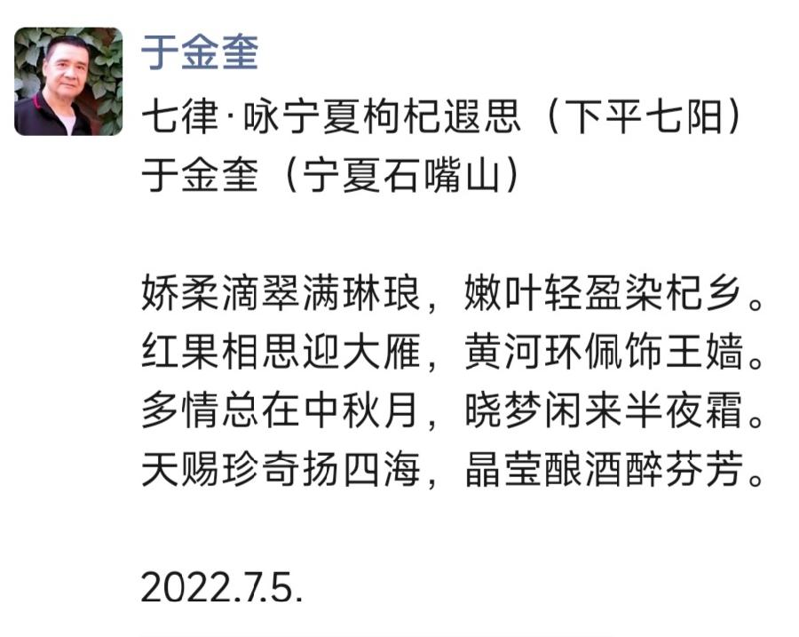 诗人于金奎七律十六首欣赏(2022.7.1—7.16)（图25）