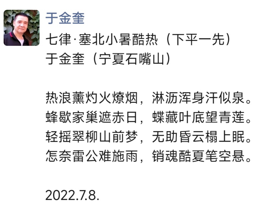 诗人于金奎七律十六首欣赏(2022.7.1—7.16)（图31）