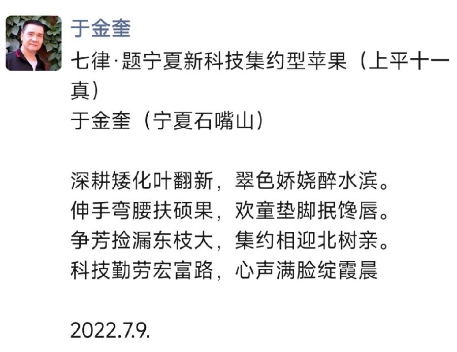 诗人于金奎七律十六首欣赏(2022.7.1—7.16)（图33）