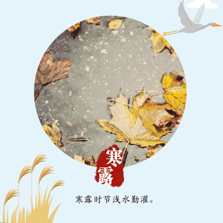 〔诗词专辑六〕作者 王香谷（悉尼）【冰心文化传媒】（图12）
