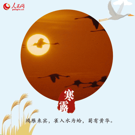 〔诗词专辑六〕作者 王香谷（悉尼）【冰心文化传媒】（图14）