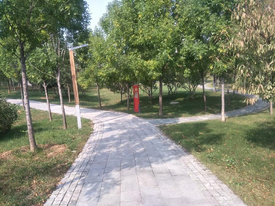 《中英文~现代诗专辑》作者:王佐臣|江南诗絮文化中心|(图10)