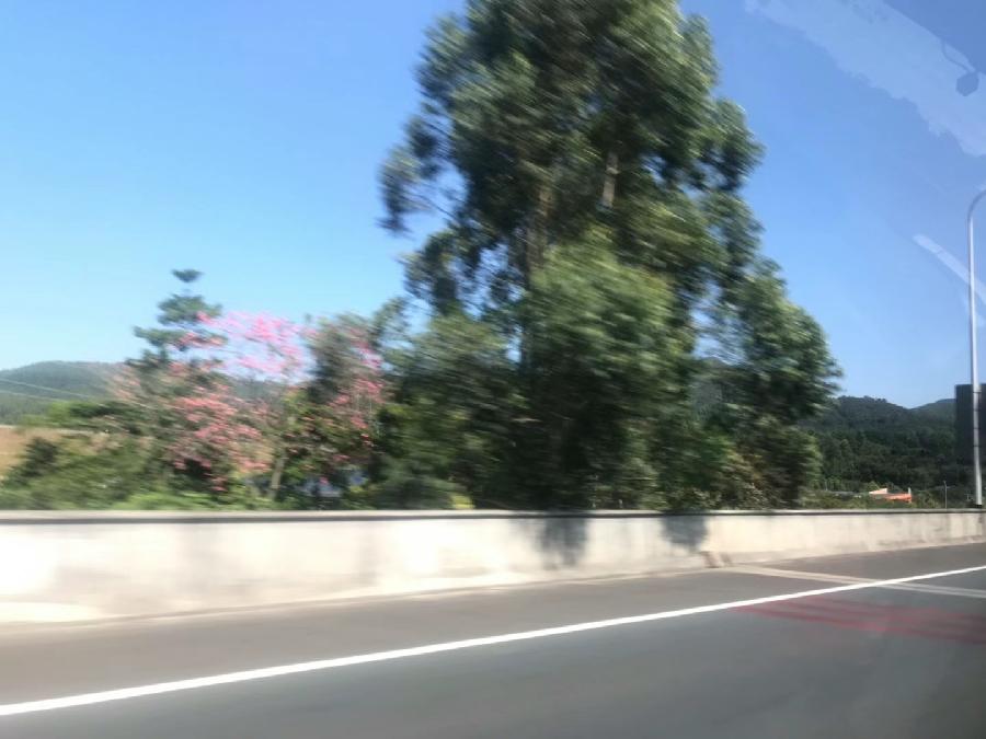 《中英文~现代诗专辑》作者:王佐臣|江南诗絮文化中心|(图12)