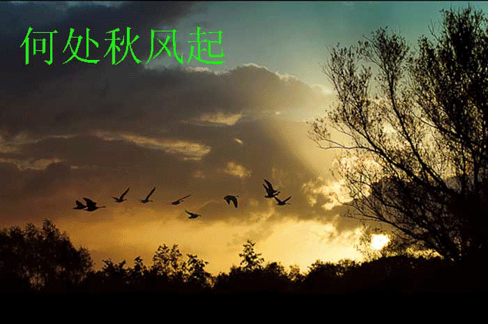 【经典推荐】汪火炎//五律•秋韵抒怀作品展｛二十首｝（图2）