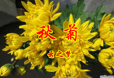 【经典推荐】汪火炎//五律•秋韵抒怀作品展｛二十首｝（图5）
