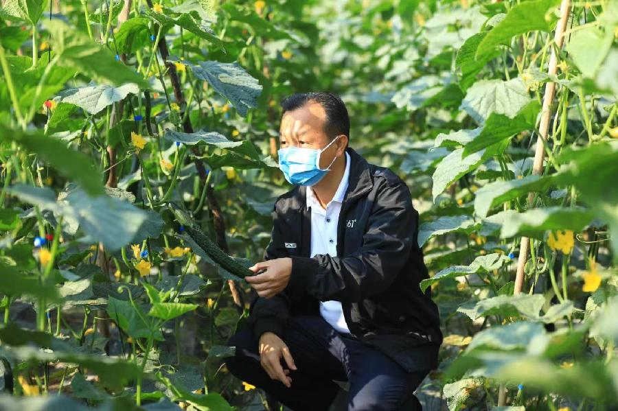 《中国爱情诗刊》【中国爱情诗人档案】(第4854期)海南诗人:风递花香的诗(图2)