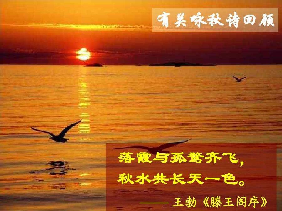 【经典推荐】汪火炎//五律•秋韵抒怀作品展｛二十首｝（图11）