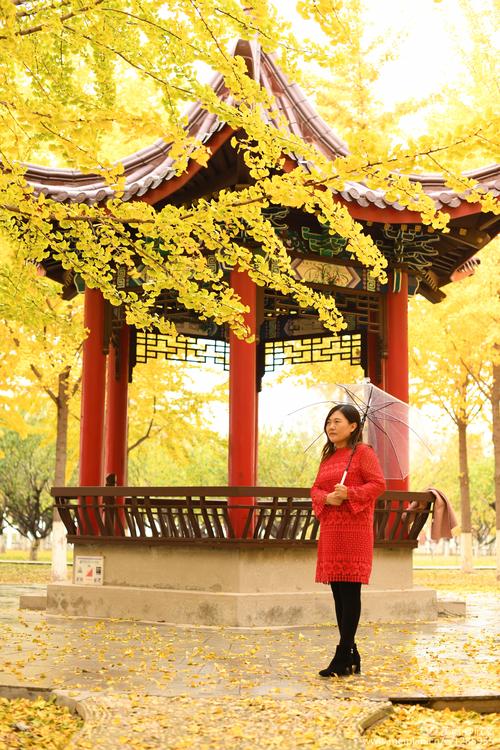 【新山东文学社】《忆那年那秋》作者/李延庄子 主播/梅妃（图4）