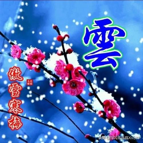 【重磅推出】海外山人//八仙体•何用浮名绊此身｛八首欣赏｝（图10）