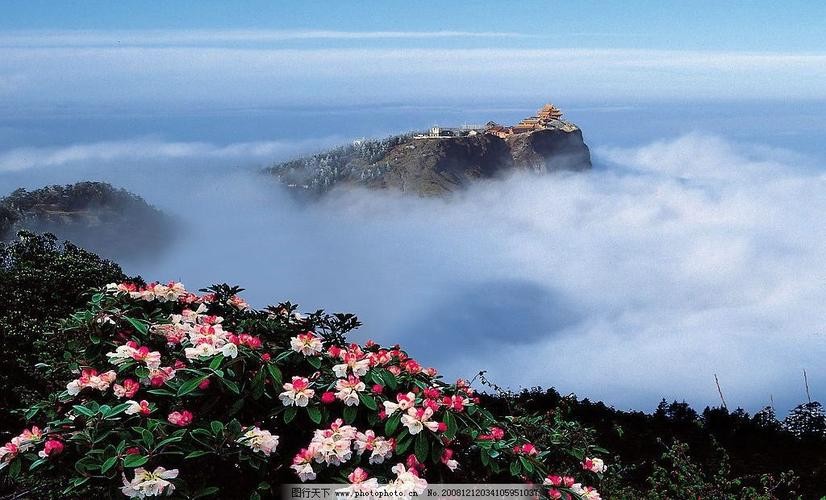 【重磅推出】海外山人//八仙体•何用浮名绊此身｛八首欣赏｝（图6）
