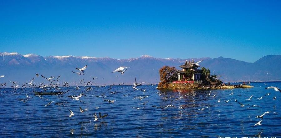 【重磅推出】海外山人//八仙体•何用浮名绊此身｛八首欣赏｝（图14）
