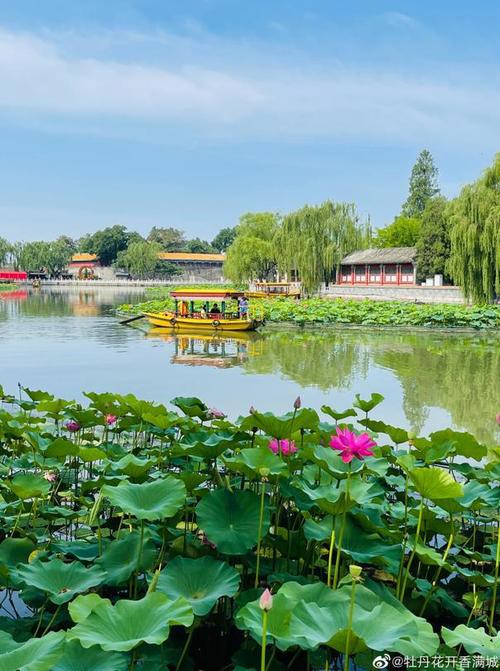 中华诗艺社九江分社·格律诗词精品鉴赏(合辑)第1535期(图34)