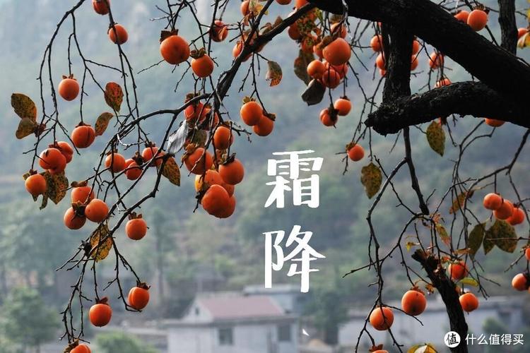 中华诗艺社九江分社·格律诗词精品鉴赏(合辑)第1535期(图35)