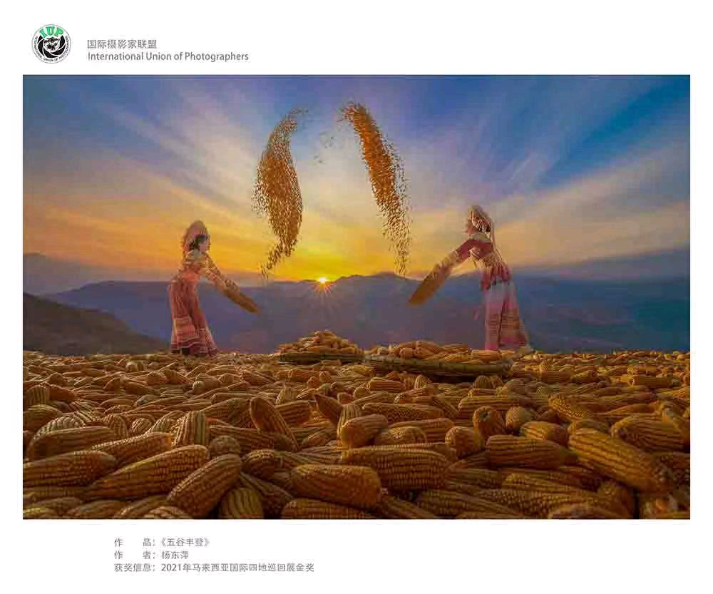 云南:国际摄影家联盟(IUP)杨东萍摄影展在昆举行(图5)