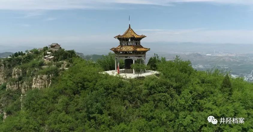 千秋老柏未了情(图4)