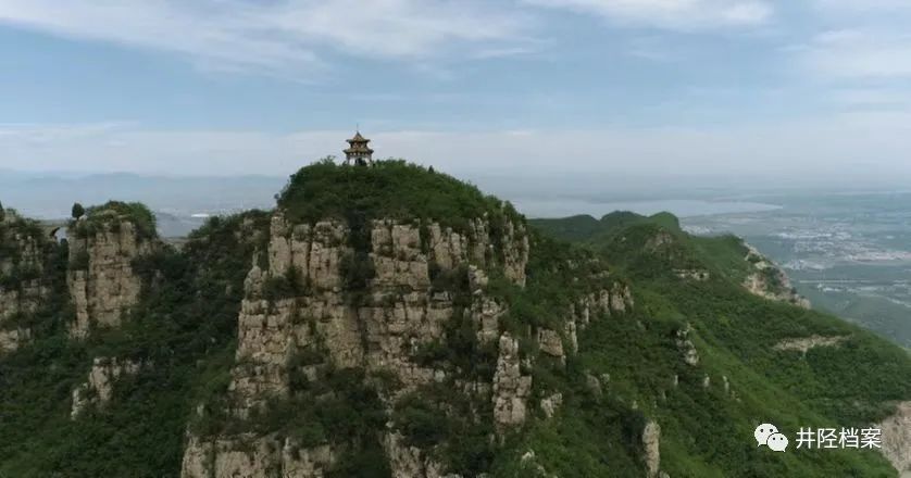 千秋老柏未了情(图6)