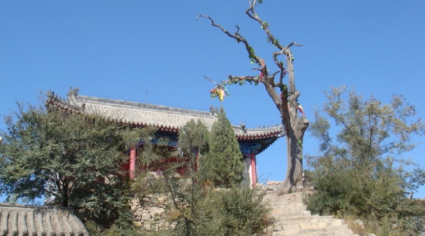 苍凉悲慨未了情