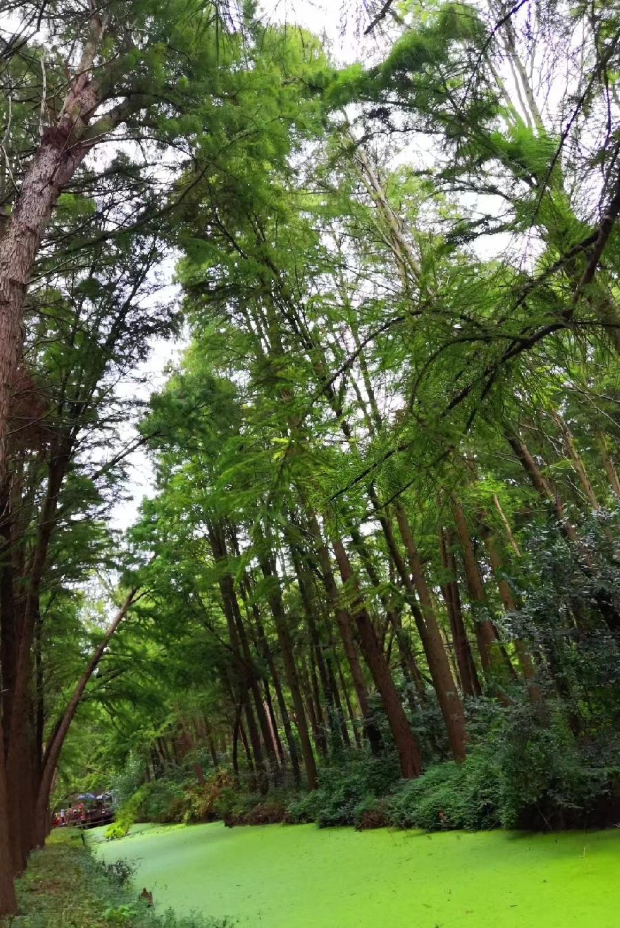 名人诗典/李建明（图5）