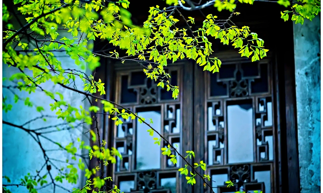陈锡波：“游必有方”的那个方字