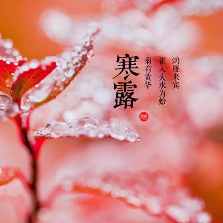 中华诗艺社九江分社·格律诗词精品鉴赏(合辑)第1535期(图55)