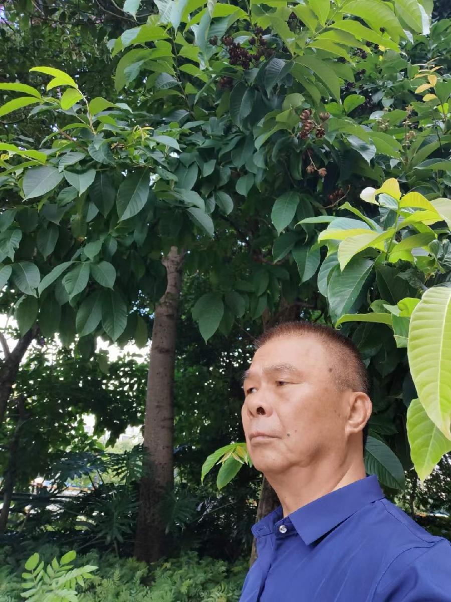广东云浮南山翁(张国盛)诗词专辑(一)(图15)