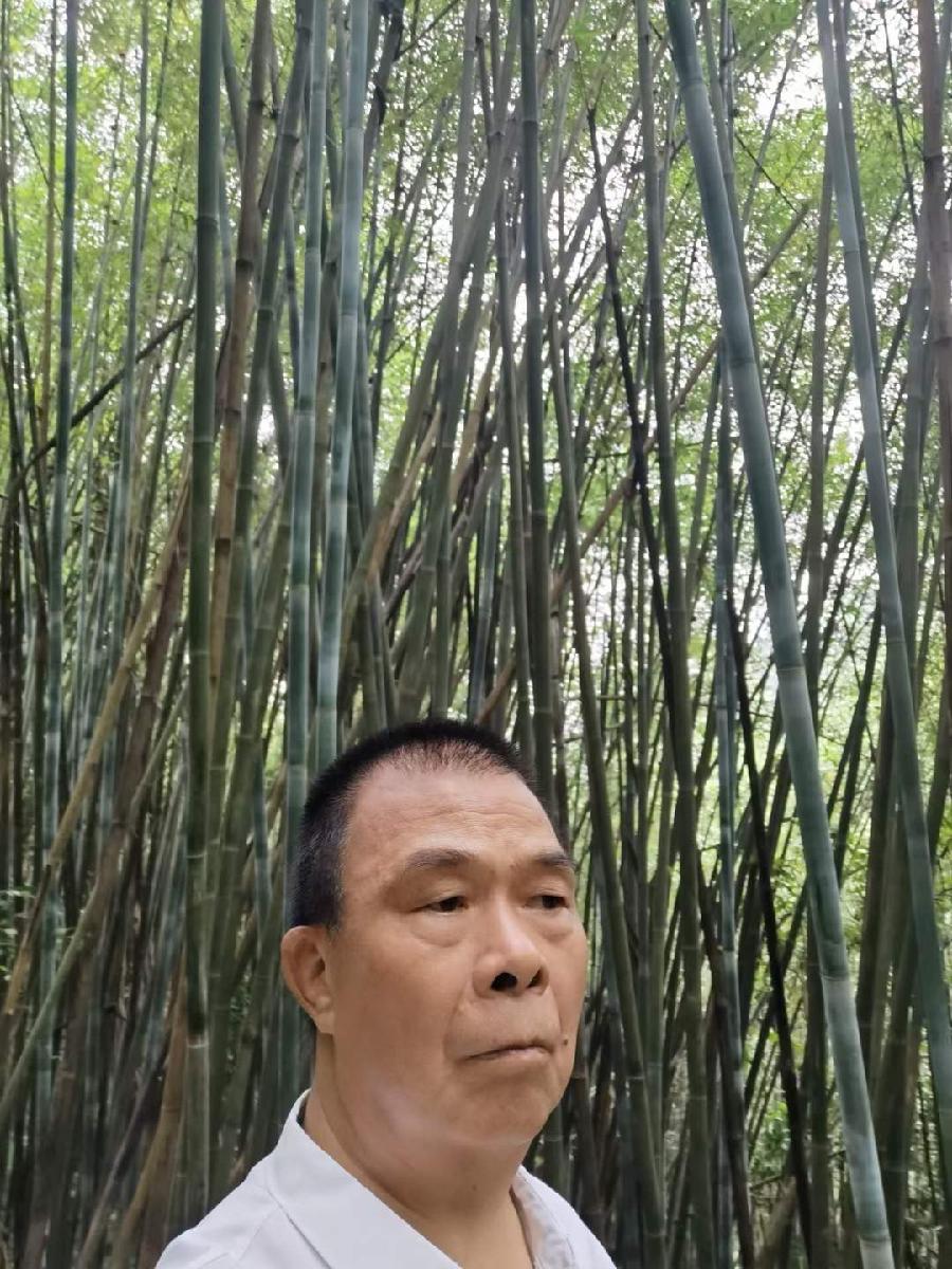 广东云浮南山翁(张国盛)诗词专辑(一)(图22)