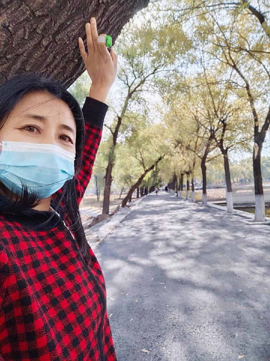 中华诗艺社黑龙江分社推介/顾平摄影:漫步金秋（图11）