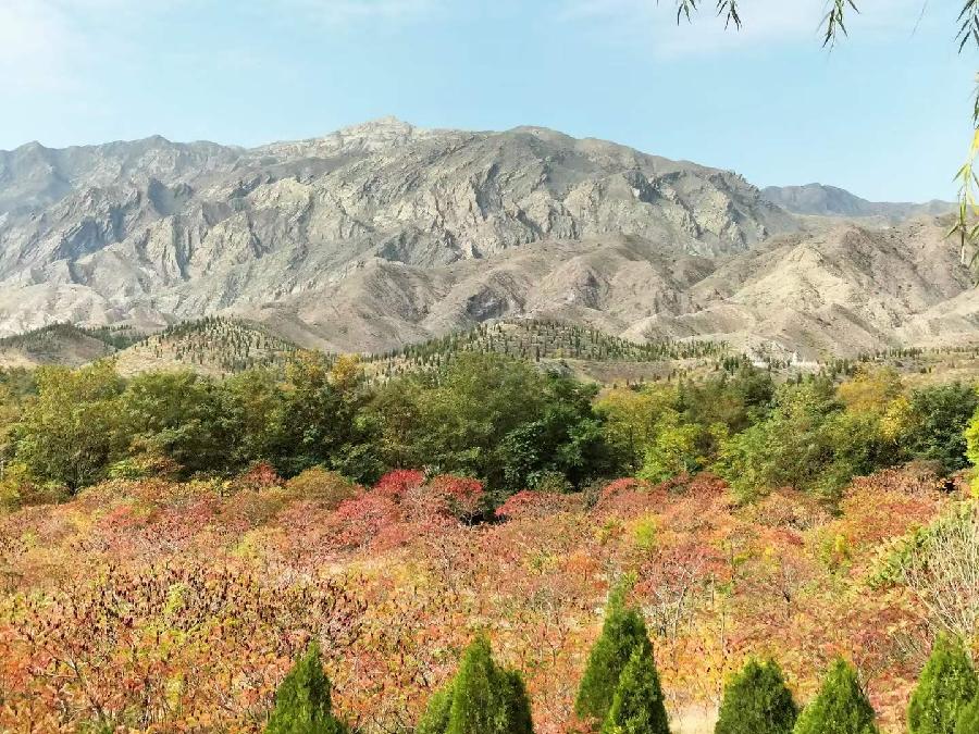 诗人于金奎:七律·深秋贺兰山前（下平七阳）（图4）