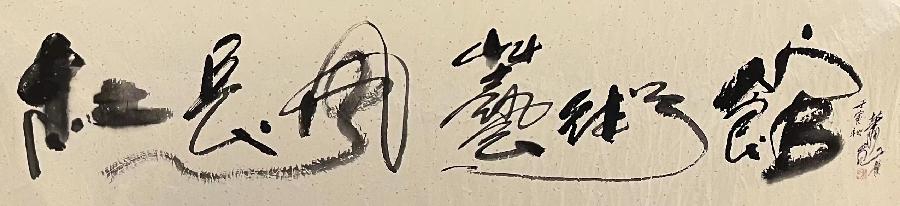 【雅诗总会】萧宽挥毫《华夏仡佬书画院》策划《海南岛国际浪漫节》《中华八雅》《数字广场》(图31)