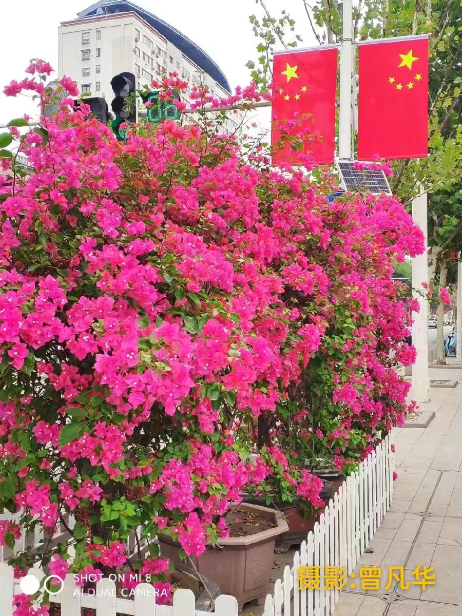 国风上海社《第十八》期诗刊—北京头条(图26)