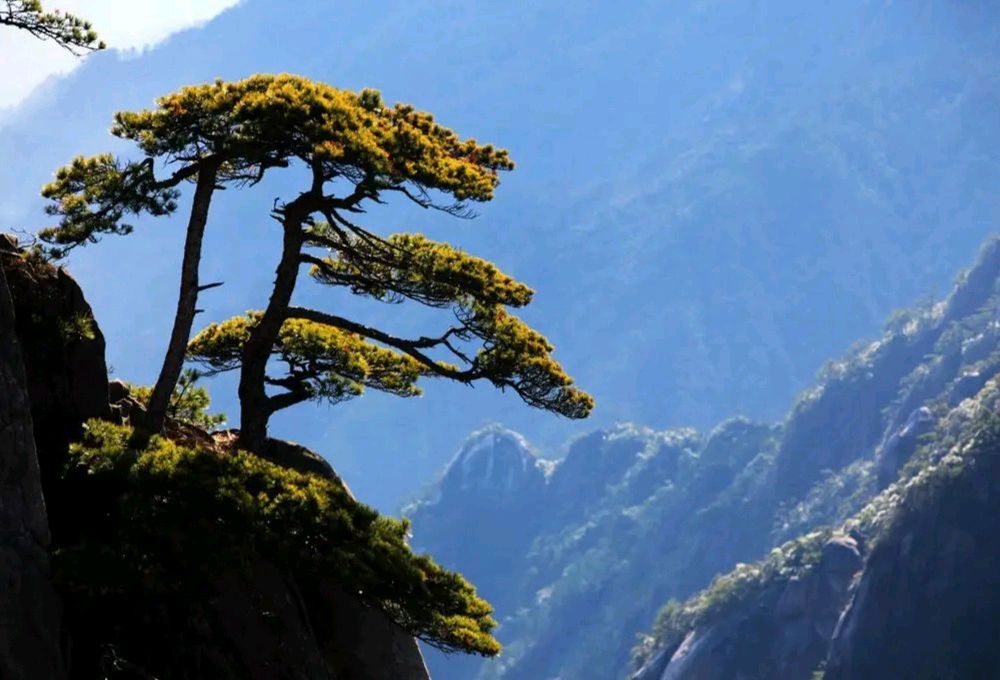 风雅诗社·第三十三期·格律篇（图2）