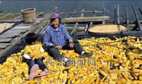 风雅诗社·第三十三期·格律篇（图10）