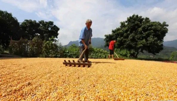 风雅诗社·第三十三期·格律篇（图11）