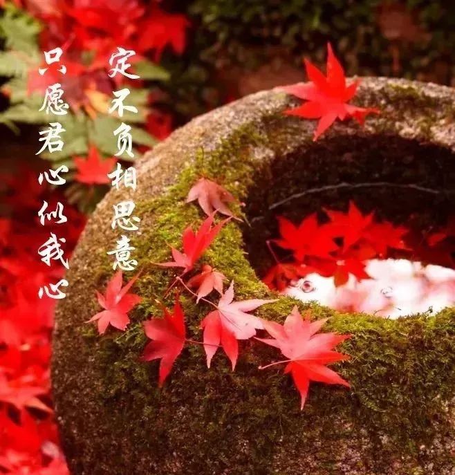 心尘文艺 第699期