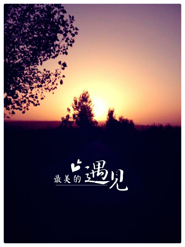 一场相遇 一生铭记 不负遇见 不谈亏欠ll摘自/我的世界_a405ll诵读/老菩提(图2)