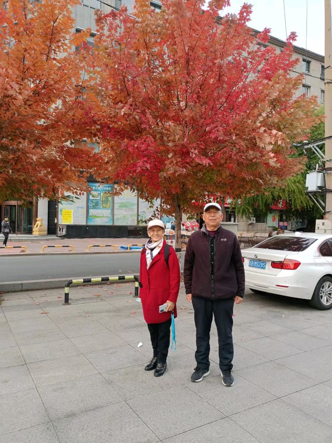 喜迎廿大作者诗韵雪松（吉林）20221015（图3）