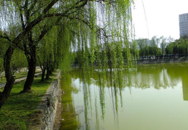 中华诗艺社黑龙江分社推介/姚会昌:七律•喜迎二十大召开(外五首)（图9）