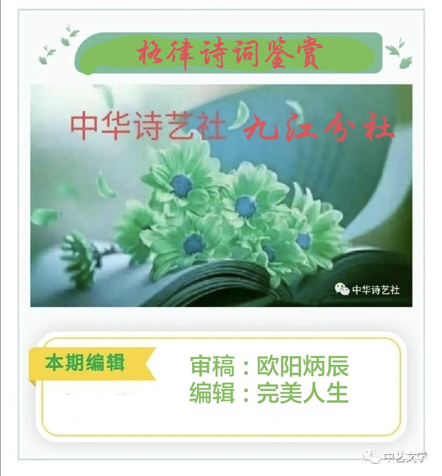 中华诗艺社九江分社·格律诗词精品鉴赏(合辑)第1537期(图105)