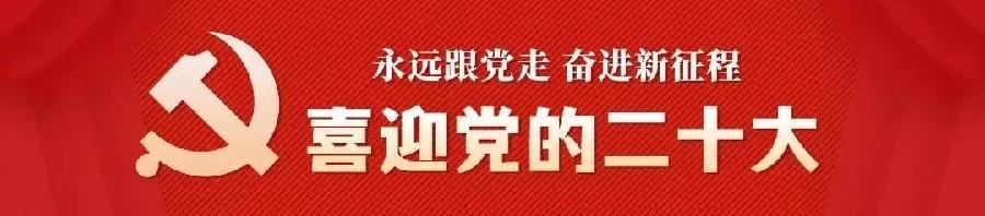〔喜迎党的二十大〕段清华:庆祝二十大/欢迎投稿/插播广告