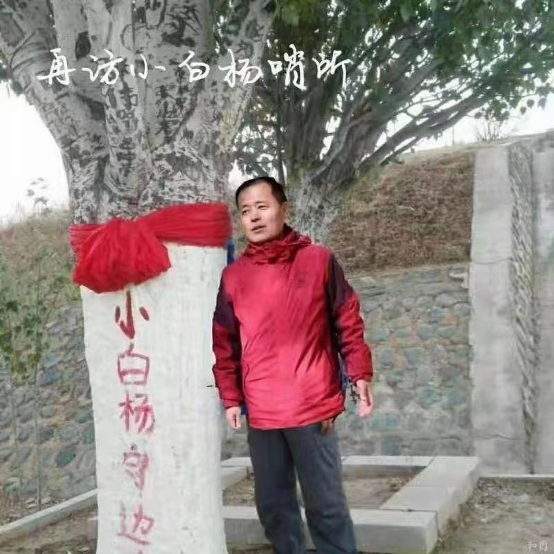 〔喜迎党的二十大〕段清华:庆祝二十大/欢迎投稿/插播广告(图3)