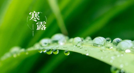 中华诗艺社九江分社·格律诗词精品鉴赏(合辑)第1537期(图40)