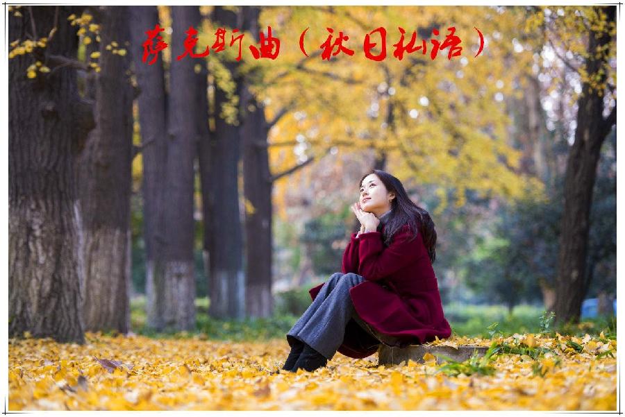 【潇湘文学社】潇湘紫竹诗社《总464期》(随吟辑)(图5)