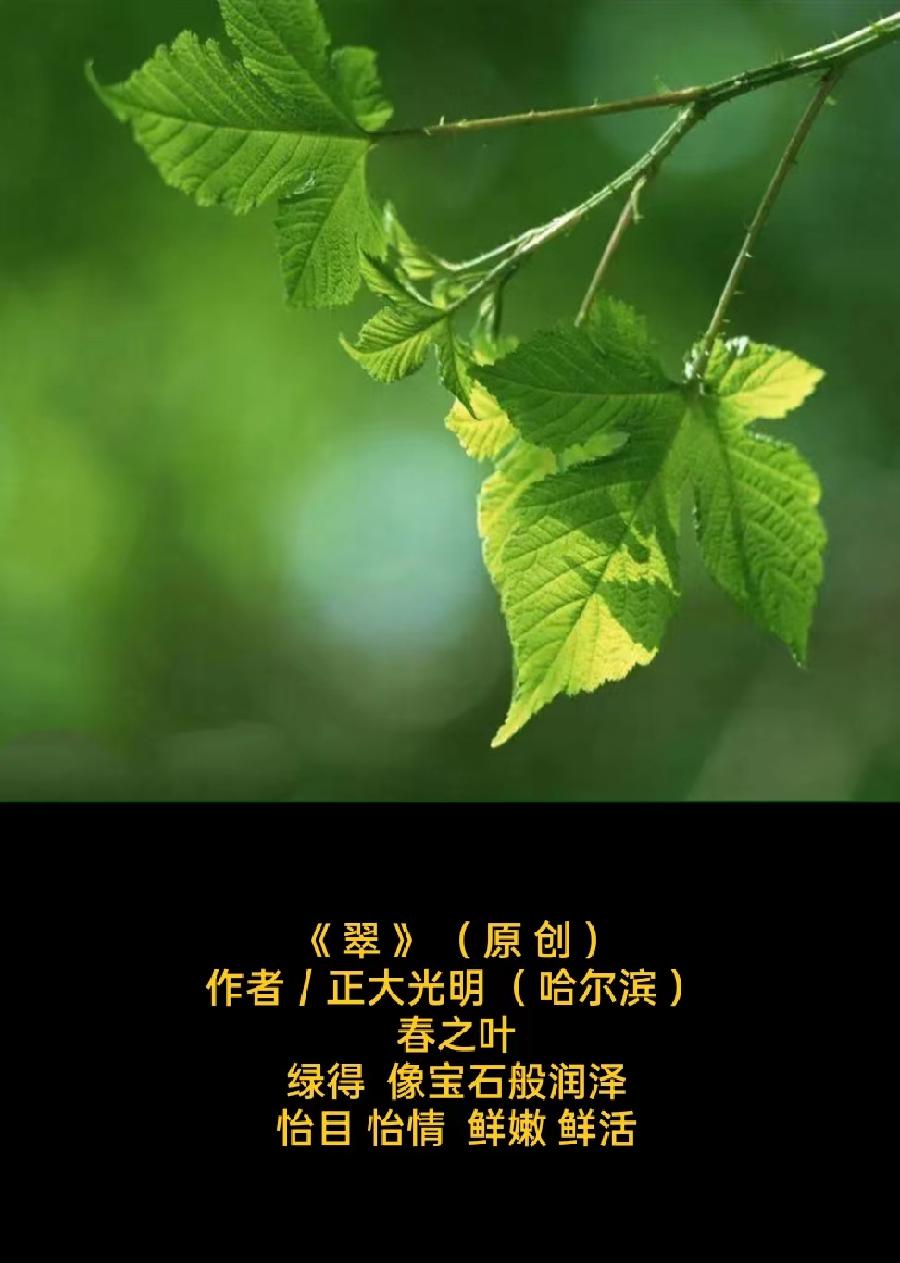 佳作欣赏 题图微诗三首 《翠·春之叶》、《夏日》、《唯一》作者:正大光明(图3)