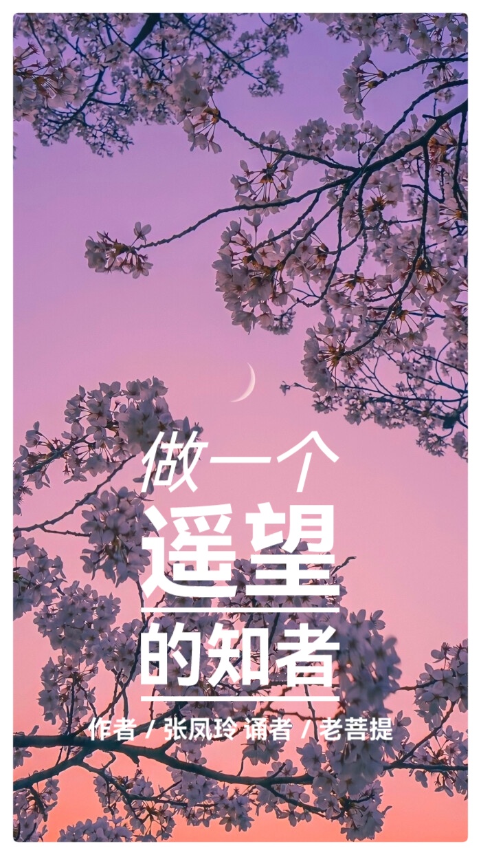 做个遥望的知者∥作者：张凤玲∥诵读：老菩提（图2）