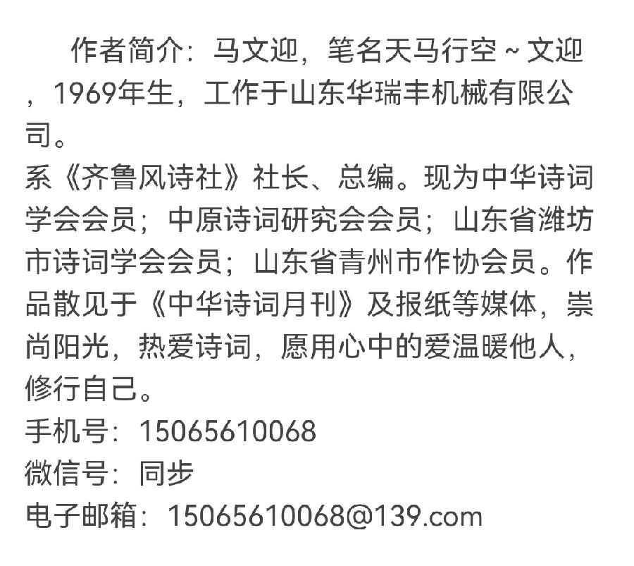 【金榜头条】推介马文迎《山东华瑞丰•公司十年厂庆随笔》请欣赏（图12）