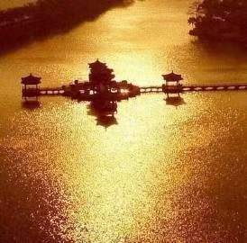 中华诗艺社黑龙江分社推介/书乐:人生三愉悦(外三首)(图5)