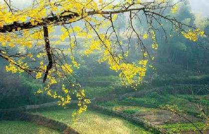 中华诗艺社黑龙江分社推介/书乐:人生三愉悦(外三首)(图3)