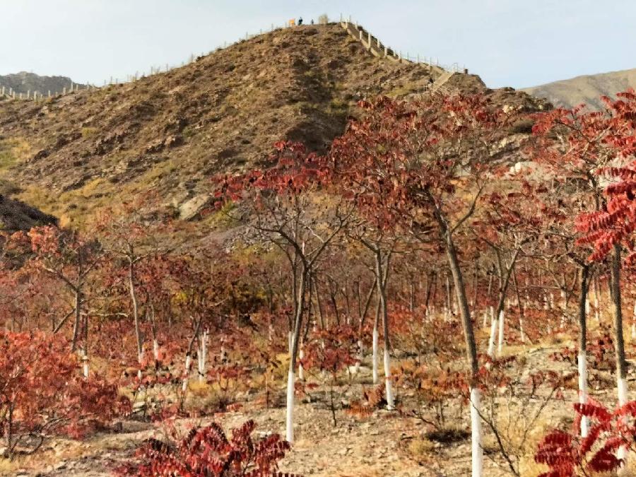 诗人于金奎:七律·贺兰山秋思（下平七阳）（图5）