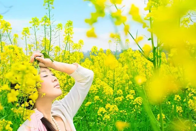 【新诗大观】懂你（外一首）||文/王淑霞（图2）