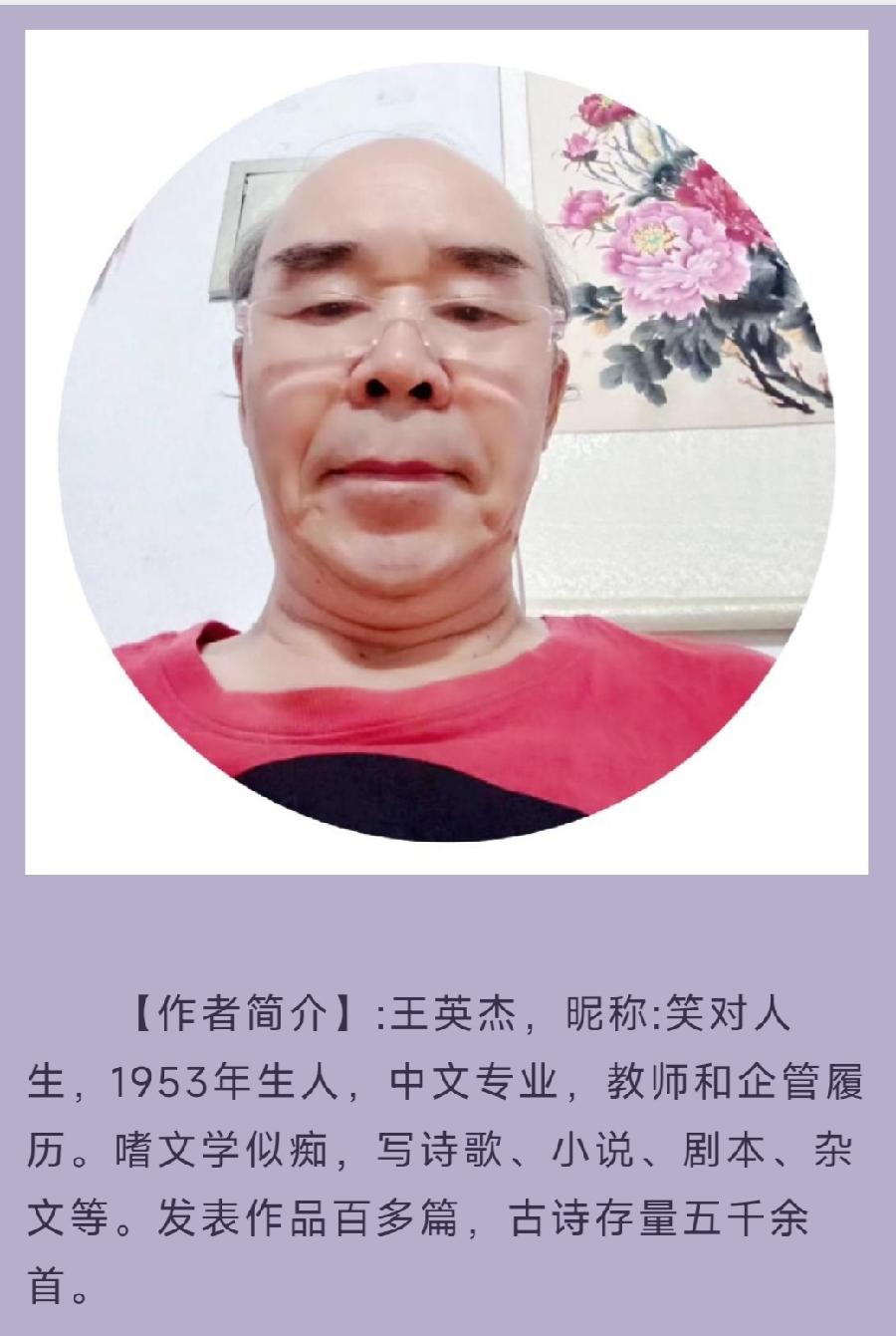 中华诗艺社黑龙江分社推介/王英杰:新韵 党的二十大召开抒怀（图4）